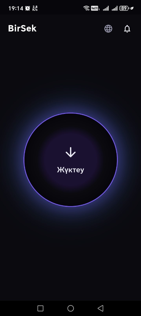 Интерфейс BirSek
